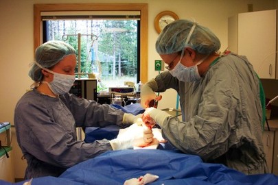 Surgery And Aftercare in Hospitals