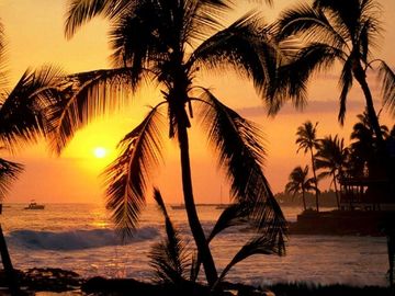 Feel Like Adventure On Best Hawaii Vacations 	