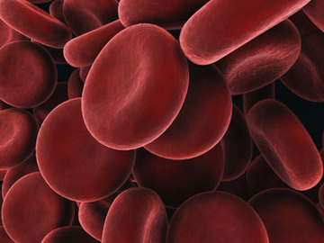 About Thalassemia Mediterranean Blood Disease