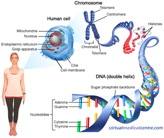 5 Most Common Genetics Diseases