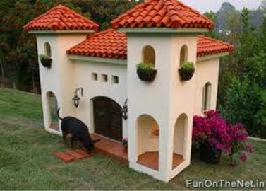 Dog Houses For Sale