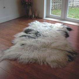 Where Can I Find Sheep Skin Rugs?