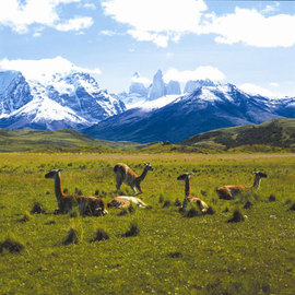 Chile Vacations - Classic Patagonia