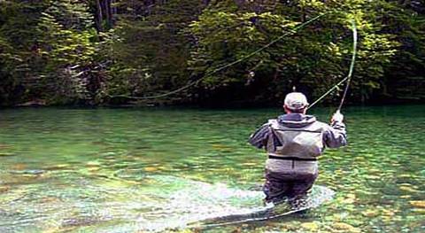 Good Reasons To Take A Family Fly On Fishing Vacations