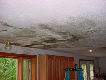 Common Diseases From Black Mold And Mildews