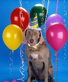 Planning Doggie Birthday Parties