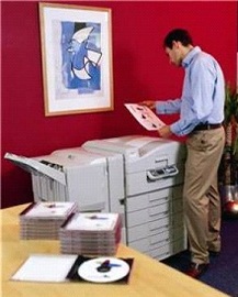 5 Reliable Office Printers