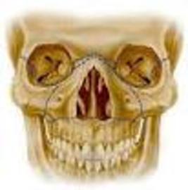 How Long Does It Take To Recover From Surgery Oral Maxillofacial