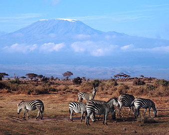 Spend Your Christmas With Vacations In Kenya	