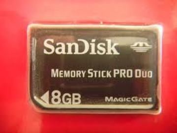 Memory Stick With Memory Duo Pro Magic Gate Cards