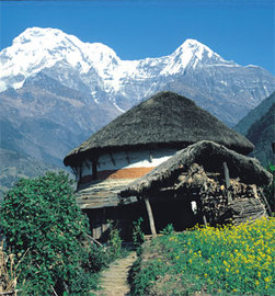 Packages Offered For Nepal Vacations!