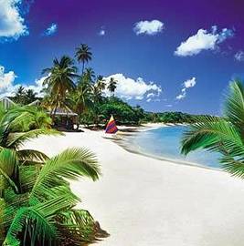 St Lucia Vacations- Landscapes And Exotic Rainforests