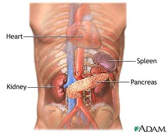 How To Diagnose Diseases Of the Pancreas