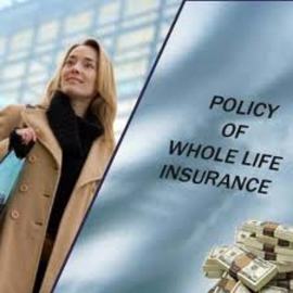 What Is Insurance Life Whole