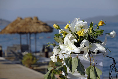 The Best Beach Flowers For Weddings