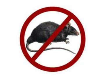 How To Treat Lassa Fever	