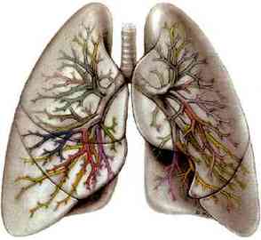 Information About Diseases Of The Lung