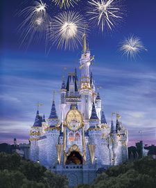 Packages For Disney World Vacations 