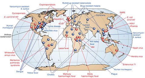   How To Protect Yourself From Emerging Infectious Disease