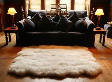 Where Can I Find Sheep Skin Rugs?