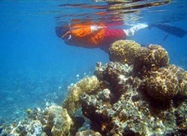 Snorkeling Vacations On Egypt Red Sea Coast