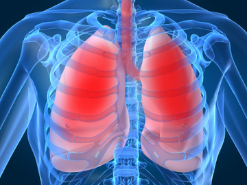 How To Prevent Pulmonary Diseases 