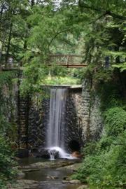 How To Plan A Leaf Viewing Asheville Mountain Vacations 