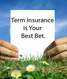 What You Need To Know About Quote Term Life Insurance
