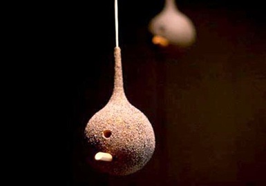 Bird And Birdfeeder Designs