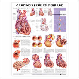 How To Find Pictures Of Diseases