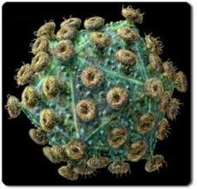 Using Viruses To Treat Diseases
