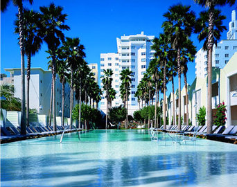 Vacations In Miami Florida