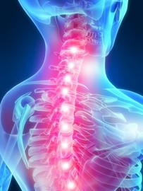 3 Diseases Of the Spinal Cord