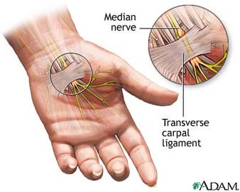 Foods That Cause Diseases In Nerve 