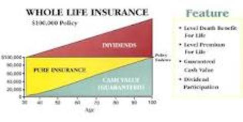 How Much Is Life Insurance Whole