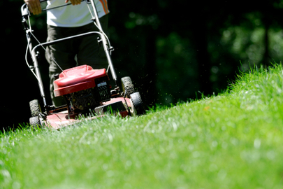 Home Lawn Mower Care