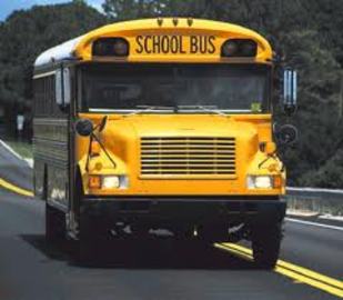 Average School Bus Mileage in Mn