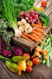 List Of Organic Food That Assist in Health Development