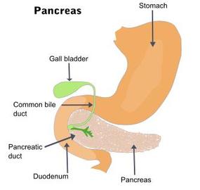  Most Common Treatment For Pancreatic Diseases	