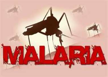 how is malaria disease cured and prevented