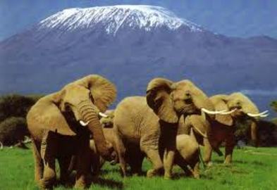 Kenya Vacations For First Time Visitors