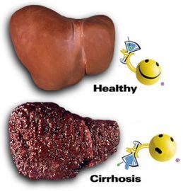 How To Prevent Diseases Of The Liver	