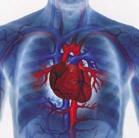 What Are The Causes Of Cardiac Diseases	
