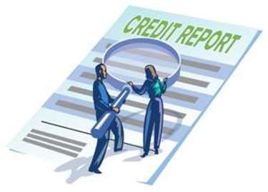About Professional Credit Repair Services