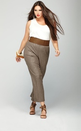 Famous Plus Size Fashion Models