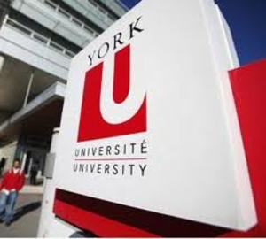 How To Find Universities In York