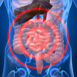 5 Common Signs Of Digestive System Diseases 