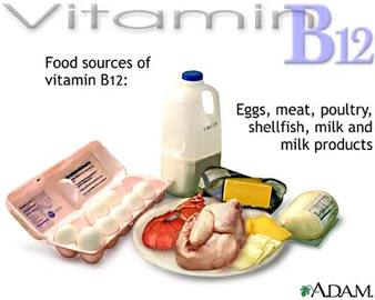 What Is B12 Suplements