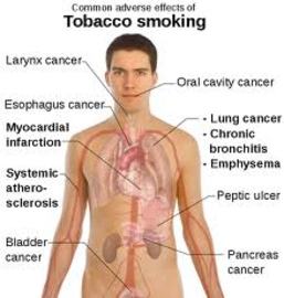 5 Common Signs Of Diseases Caused By Smoking	