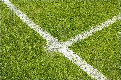 What You Should Know About Football Field Grass